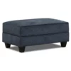 Dancaster Navy Storage Ottoman -Storage supplies store 810569830 2