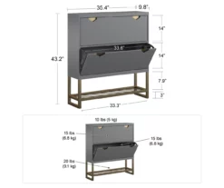 CosmoLiving Brielle Entryway Shoe Storage Cabinet 25 CosmoLiving Brielle Entryway Shoe Storage Cabinet -Storage supplies store 810589009 2