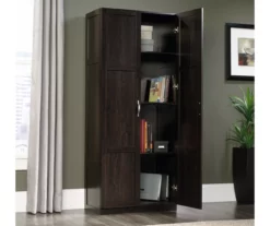 Sauder 2-Door Storage Cabinet -Storage supplies store 810610207 A0 1